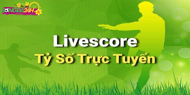 Có thể xem trên điện thoại